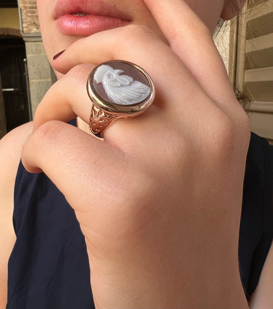 Anello - Gallo