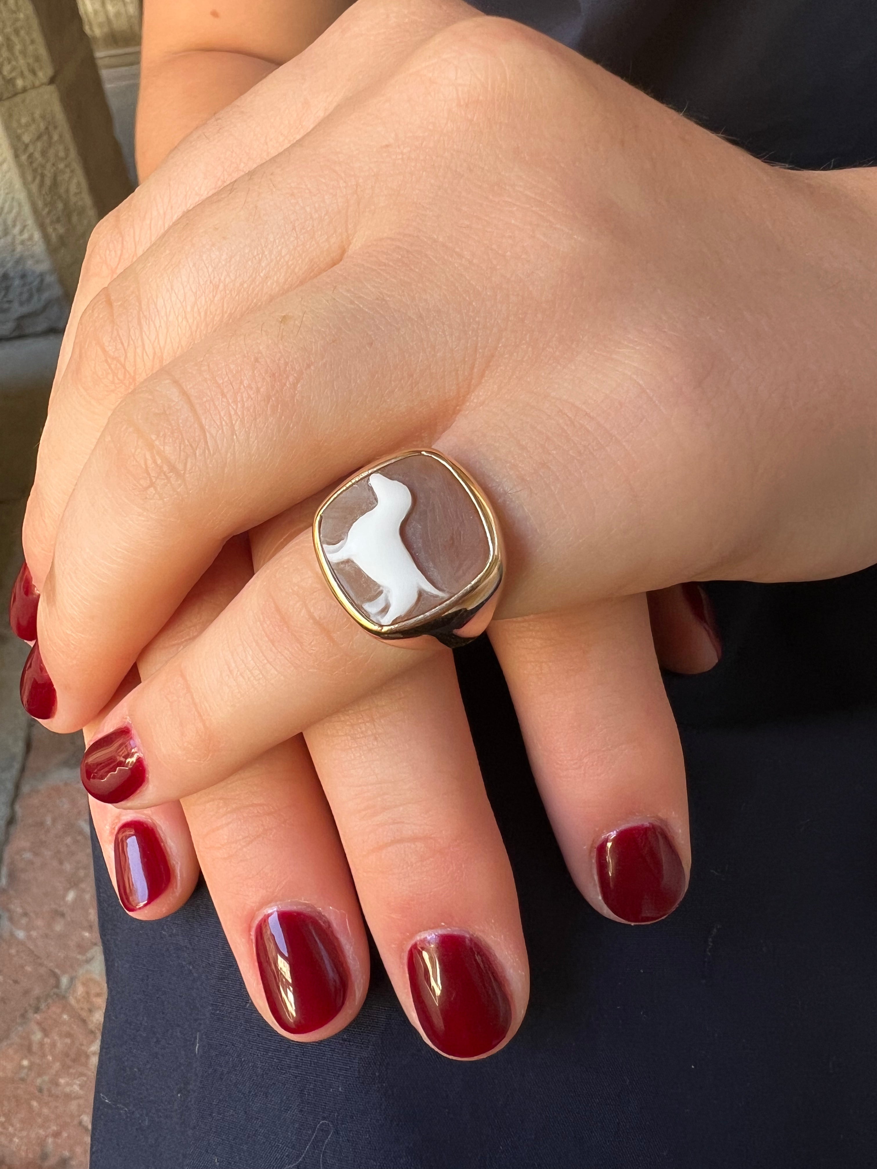 Anello da mignolo - Bassotto